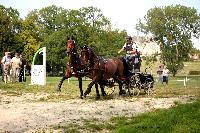 Photo n 42430&#10;CAI Le Pin 2017. Photo Nadine TOUDIC&#10;Lo VAN DER BURGT. NED&#10;Affiche 14 fois&#10;Ajoute le 29/08/2017 17:01:42 par Nadinetoudic&#10;&#10;--> Cliquer pour agrandir <--