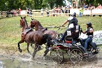Photo n 42431&#10;CAI Le Pin 2017. Photo Nadine TOUDIC&#10;Lo VAN DER BURGT. NED&#10;Affiche 11 fois&#10;Ajoute le 29/08/2017 17:01:42 par Nadinetoudic&#10;&#10;--> Cliquer pour agrandir <--