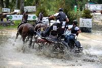 Photo n 42432&#10;CAI Le Pin 2017. Photo Nadine TOUDIC&#10;Lo VAN DER BURGT. NED&#10;Affiche 14 fois&#10;Ajoute le 29/08/2017 17:01:42 par Nadinetoudic&#10;&#10;--> Cliquer pour agrandir <--