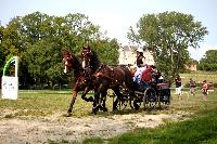Photo n 42433&#10;CAI Le Pin 2017. Photo Nadine TOUDIC&#10;Countess Diana LINDSAY. GBR&#10;Affiche 19 fois&#10;Ajoute le 29/08/2017 17:01:43 par Nadinetoudic&#10;&#10;--> Cliquer pour agrandir <--