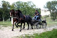 Photo n 42439&#10;CAI Le Pin 2017. Photo Nadine TOUDIC&#10;Rob VAN DEN HEUVEL. NED&#10;Affiche 16 fois&#10;Ajoute le 29/08/2017 17:01:43 par Nadinetoudic&#10;&#10;--> Cliquer pour agrandir <--