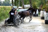 Photo n 42443&#10;CAI Le Pin 2017. Photo Nadine TOUDIC&#10;Franck EVRARD BRUNEEL. FRA&#10;Affiche 14 fois&#10;Ajoute le 29/08/2017 17:01:43 par Nadinetoudic&#10;&#10;--> Cliquer pour agrandir <--