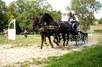 Photo n 42445&#10;CAI Le Pin 2017. Photo Nadine TOUDIC&#10;Jean-Etienne TRIADOU. FRA&#10;Affiche 17 fois&#10;Ajoute le 29/08/2017 17:01:43 par Nadinetoudic&#10;&#10;--> Cliquer pour agrandir <--