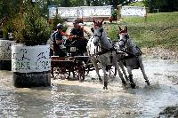 Photo n 42450&#10;CAI Le Pin 2017. Photo Nadine TOUDIC&#10;Saskia VAN HEESH. NED&#10;Affiche 16 fois&#10;Ajoute le 29/08/2017 17:01:43 par Nadinetoudic&#10;&#10;--> Cliquer pour agrandir <--