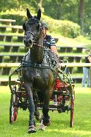 Photo n 42455&#10;COMPIEGNE 2017  photo Alice Trangosi&#10;&#10;Affiche 12 fois&#10;Ajoute le 30/08/2017 14:11:09 par JeanClaudeGrognet&#10;&#10;--> Cliquer pour agrandir <--