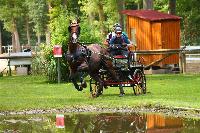 Photo n 42456&#10;COMPIEGNE 2017  photo Alice Trangosi&#10;&#10;Affiche 31 fois&#10;Ajoute le 30/08/2017 14:11:09 par JeanClaudeGrognet&#10;&#10;--> Cliquer pour agrandir <--