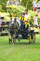 Photo n 42458&#10;COMPIEGNE 2017  photo Alice Trangosi&#10;&#10;Affiche 8 fois&#10;Ajoute le 30/08/2017 14:11:09 par JeanClaudeGrognet&#10;&#10;--> Cliquer pour agrandir <--