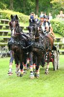 Photo n 42461&#10;COMPIEGNE 2017  photo Alice Trangosi&#10;&#10;Affiche 25 fois&#10;Ajoute le 30/08/2017 14:11:09 par JeanClaudeGrognet&#10;&#10;--> Cliquer pour agrandir <--