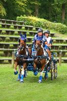 Photo n 42464&#10;COMPIEGNE 2017  photo Alice Trangosi&#10;&#10;Affiche 50 fois&#10;Ajoute le 30/08/2017 14:11:09 par JeanClaudeGrognet&#10;&#10;--> Cliquer pour agrandir <--