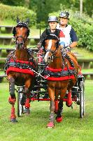 Photo n 42465&#10;COMPIEGNE 2017  photo Alice Trangosi&#10;&#10;Affiche 23 fois&#10;Ajoute le 30/08/2017 14:11:10 par JeanClaudeGrognet&#10;&#10;--> Cliquer pour agrandir <--