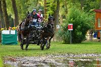 Photo n 42466&#10;COMPIEGNE 2017  photo Alice Trangosi&#10;&#10;Affiche 16 fois&#10;Ajoute le 30/08/2017 14:11:10 par JeanClaudeGrognet&#10;&#10;--> Cliquer pour agrandir <--