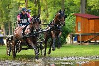 Photo n 42467&#10;COMPIEGNE 2017  photo Alice Trangosi&#10;&#10;Affiche 53 fois&#10;Ajoute le 30/08/2017 14:11:10 par JeanClaudeGrognet&#10;&#10;--> Cliquer pour agrandir <--