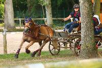 Photo n° 42468
COMPIEGNE 2017  photo Alice Trangosi

Affichée 15 fois
Ajoutée le 30/08/2017 14:11:10 par JeanClaudeGrognet

--> Cliquer pour agrandir <--