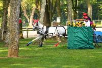 Photo n 42469&#10;COMPIEGNE 2017  photo Alice Trangosi&#10;&#10;Affiche 16 fois&#10;Ajoute le 30/08/2017 14:11:10 par JeanClaudeGrognet&#10;&#10;--> Cliquer pour agrandir <--