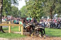 Photo n 43002&#10;LIPICA 2017 CdM paires - photo Hlne Leclerc&#10;Martin HLLE (HUN)&#10;Affiche 15 fois&#10;Ajoute le 24/09/2017 10:01:16 par JeanClaudeGrognet&#10;&#10;--> Cliquer pour agrandir <--