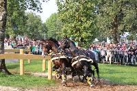 Photo n 43003&#10;LIPICA 2017 CdM paires - photo Hlne Leclerc&#10;Martin HLLE (HUN)&#10;Affiche 14 fois&#10;Ajoute le 24/09/2017 10:01:16 par JeanClaudeGrognet&#10;&#10;--> Cliquer pour agrandir <--