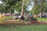 Photo n 43004&#10;LIPICA 2017 CdM paires - photo Hlne Leclerc&#10;Martin HLLE (HUN)&#10;Affiche 10 fois&#10;Ajoute le 24/09/2017 10:01:16 par JeanClaudeGrognet&#10;&#10;--> Cliquer pour agrandir <--