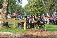 Photo n 43005&#10;LIPICA 2017 CdM paires - photo Hlne Leclerc&#10;Martin HLLE (HUN)&#10;Affiche 11 fois&#10;Ajoute le 24/09/2017 10:01:16 par JeanClaudeGrognet&#10;&#10;--> Cliquer pour agrandir <--