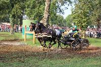 Photo n 43006&#10;LIPICA 2017 CdM paires - photo Hlne Leclerc&#10;Martin HLLE (HUN)&#10;Affiche 18 fois&#10;Ajoute le 24/09/2017 10:01:16 par JeanClaudeGrognet&#10;&#10;--> Cliquer pour agrandir <--