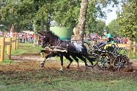 Photo n 43007&#10;LIPICA 2017 CdM paires - photo Hlne Leclerc&#10;Martin HLLE (HUN)&#10;Affiche 16 fois&#10;Ajoute le 24/09/2017 10:01:16 par JeanClaudeGrognet&#10;&#10;--> Cliquer pour agrandir <--