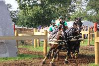 Photo n 43008&#10;LIPICA 2017 CdM paires - photo Hlne Leclerc&#10;Martin HLLE (HUN)&#10;Affiche 14 fois&#10;Ajoute le 24/09/2017 10:01:16 par JeanClaudeGrognet&#10;&#10;--> Cliquer pour agrandir <--