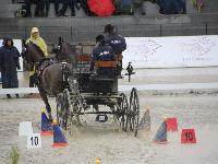 Photo n 43016&#10;LIPICA 2017 CdM paires - photo Attelage.org&#10;Michal SELLIER&#10;Affiche 16 fois&#10;Ajoute le 24/09/2017 19:55:16 par JeanClaudeGrognet&#10;&#10;--> Cliquer pour agrandir <--
