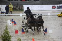 Photo n 43017&#10;LIPICA 2017 CdM paires - photo Attelage.org&#10;Michal SELLIER&#10;Affiche 23 fois&#10;Ajoute le 24/09/2017 19:55:16 par JeanClaudeGrognet&#10;&#10;--> Cliquer pour agrandir <--
