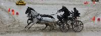 Photo n 43023&#10;LIPICA 2017 CdM paires - photo Attelage.org&#10;&#10;Affiche 27 fois&#10;Ajoute le 24/09/2017 19:55:17 par JeanClaudeGrognet&#10;&#10;--> Cliquer pour agrandir <--