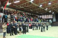 Photo n 43050&#10;LIPICA 2017 CdM paires - photo Attelage.org&#10;&#10;Affiche 32 fois&#10;Ajoute le 24/09/2017 19:55:18 par JeanClaudeGrognet&#10;&#10;--> Cliquer pour agrandir <--