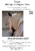 Photo n 43059&#10;Rivarennes stage&#10;&#10;Affiche 12 fois&#10;Ajoute le 04/10/2017 08:29:08 par JeanClaudeGrognet&#10;&#10;--> Cliquer pour agrandir <--