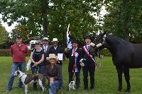 Photo n 43062&#10;MESLAY DU MAINE&#10;&#10;Affiche 22 fois&#10;Ajoute le 04/10/2017 13:21:05 par COBNORMAND&#10;&#10;--> Cliquer pour agrandir <--