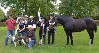 Photo n 43066&#10;Le Meslay du Maine CdF Trait 2017 photo COBNORMAND&#10;&#10;Affiche 38 fois&#10;Ajoute le 04/10/2017 14:48:24 par JeanClaudeGrognet&#10;&#10;--> Cliquer pour agrandir <--