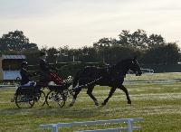 Photo n 43067&#10;Le Meslay du Maine CdF Trait 2017 photo COBNORMAND&#10;&#10;Affiche 19 fois&#10;Ajoute le 04/10/2017 14:48:24 par JeanClaudeGrognet&#10;&#10;--> Cliquer pour agrandir <--