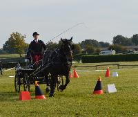 Photo n° 43068
Le Meslay du Maine CdF Trait 2017 photo COBNORMAND

Affichée 15 fois
Ajoutée le 04/10/2017 14:48:24 par JeanClaudeGrognet

--> Cliquer pour agrandir <--