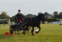 Photo n 43069&#10;Le Meslay du Maine CdF Trait 2017 photo COBNORMAND&#10;&#10;Affiche 20 fois&#10;Ajoute le 04/10/2017 14:48:24 par JeanClaudeGrognet&#10;&#10;--> Cliquer pour agrandir <--