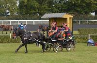 Photo n 43070&#10;Le Meslay du Maine CdF Trait 2017 photo COBNORMAND&#10;&#10;Affiche 30 fois&#10;Ajoute le 04/10/2017 14:48:24 par JeanClaudeGrognet&#10;&#10;--> Cliquer pour agrandir <--