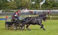 Photo n 43071&#10;Le Meslay du Maine CdF Trait 2017 photo COBNORMAND&#10;&#10;Affiche 26 fois&#10;Ajoute le 04/10/2017 14:48:24 par JeanClaudeGrognet&#10;&#10;--> Cliquer pour agrandir <--