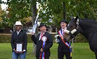 Photo n 43075&#10;Le Meslay du Maine CdF Trait 2017 photo COBNORMAND&#10;&#10;Affiche 18 fois&#10;Ajoute le 04/10/2017 14:48:24 par JeanClaudeGrognet&#10;&#10;--> Cliquer pour agrandir <--
