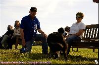 Photo n 43082&#10;MESLAY du MAINE CdF Trait 2017 photo A. Jeanjean&#10;&#10;Affiche 21 fois&#10;Ajoute le 06/10/2017 08:46:20 par JeanClaudeGrognet&#10;&#10;--> Cliquer pour agrandir <--