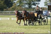 Photo n 43088&#10;MESLAY du MAINE CdF Trait 2017 photo A. Jeanjean&#10;&#10;Affiche 63 fois&#10;Ajoute le 06/10/2017 08:46:20 par JeanClaudeGrognet&#10;&#10;--> Cliquer pour agrandir <--