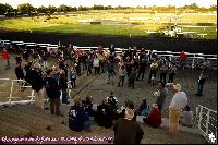 Photo n 43089&#10;MESLAY du MAINE CdF Trait 2017 photo A. Jeanjean&#10;&#10;Affiche 22 fois&#10;Ajoute le 06/10/2017 08:46:20 par JeanClaudeGrognet&#10;&#10;--> Cliquer pour agrandir <--