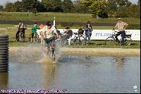 Photo n 43097&#10;MESLAY du MAINE CdF Trait 2017 photo A. Jeanjean&#10;&#10;Affiche 30 fois&#10;Ajoute le 06/10/2017 08:46:21 par JeanClaudeGrognet&#10;&#10;--> Cliquer pour agrandir <--