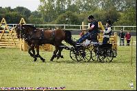 Photo n 43099&#10;MESLAY du MAINE CdF Trait 2017 photo A. Jeanjean&#10;&#10;Affiche 32 fois&#10;Ajoute le 06/10/2017 08:46:21 par JeanClaudeGrognet&#10;&#10;--> Cliquer pour agrandir <--