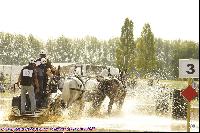 Photo n 43102&#10;MESLAY du MAINE CdF Trait 2017 photo A. Jeanjean&#10;&#10;Affiche 47 fois&#10;Ajoute le 06/10/2017 08:46:21 par JeanClaudeGrognet&#10;&#10;--> Cliquer pour agrandir <--