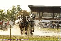 Photo n 43104&#10;MESLAY du MAINE CdF Trait 2017 photo A. Jeanjean&#10;&#10;Affiche 34 fois&#10;Ajoute le 06/10/2017 08:46:21 par JeanClaudeGrognet&#10;&#10;--> Cliquer pour agrandir <--