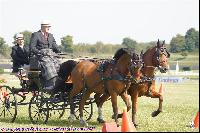 Photo n 43108&#10;MESLAY du MAINE CdF Trait 2017 photo A. Jeanjean&#10;&#10;Affiche 61 fois&#10;Ajoute le 06/10/2017 08:46:21 par JeanClaudeGrognet&#10;&#10;--> Cliquer pour agrandir <--