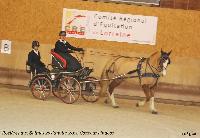 Photo n 43196&#10;Rosires aux Salines 2018 photo  Juliette Mos &#10;&#10;Affiche 8 fois&#10;Ajoute le 31/01/2018 08:10:54 par JeanClaudeGrognet&#10;&#10;--> Cliquer pour agrandir <--