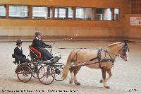 Photo n 43197&#10;Rosires aux Salines 2018 photo  Juliette Mos &#10;&#10;Affiche 11 fois&#10;Ajoute le 31/01/2018 08:10:54 par JeanClaudeGrognet&#10;&#10;--> Cliquer pour agrandir <--