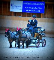 Photo n 43211&#10;Rosires aux Salines 2018 photo  Juliette Mos &#10;&#10;Affiche 8 fois&#10;Ajoute le 31/01/2018 08:10:55 par JeanClaudeGrognet&#10;&#10;--> Cliquer pour agrandir <--