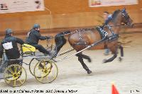 Photo n 43219&#10;Rosires aux Salines 2018 photo  Juliette Mos &#10;&#10;Affiche 11 fois&#10;Ajoute le 31/01/2018 08:10:55 par JeanClaudeGrognet&#10;&#10;--> Cliquer pour agrandir <--